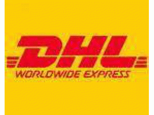 DHL܎늳ذć